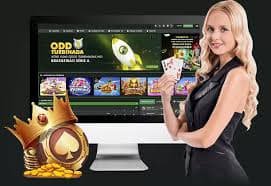 mm176 ဘင်ဂို Bonus VIP Cashback Wave Money KBZPay Myanmar